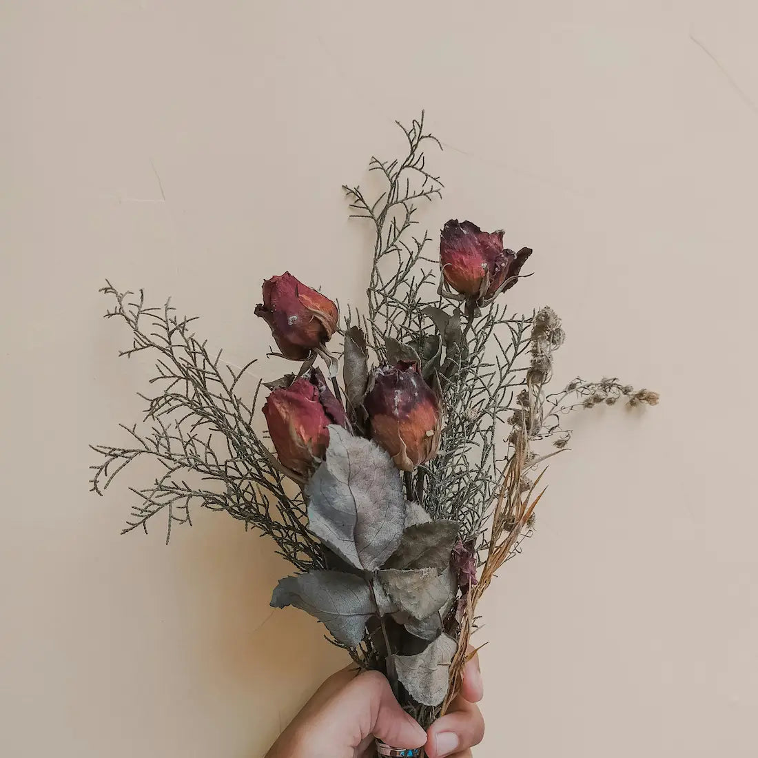 Restoring Color to Dried Flowers