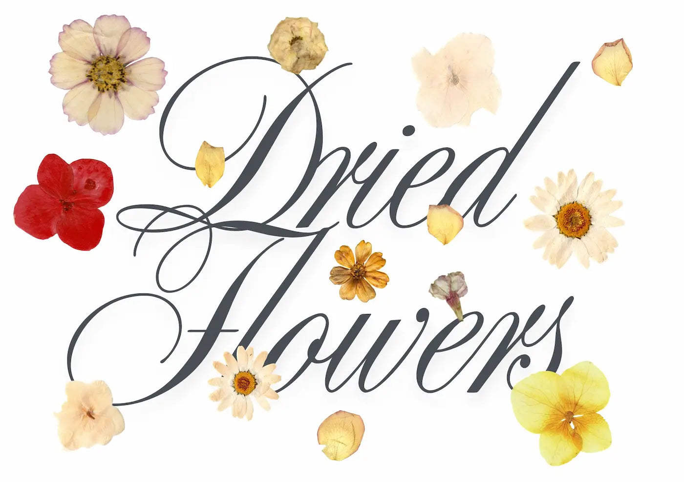 Can You Preserve an Already Dried Wedding Bouquet?