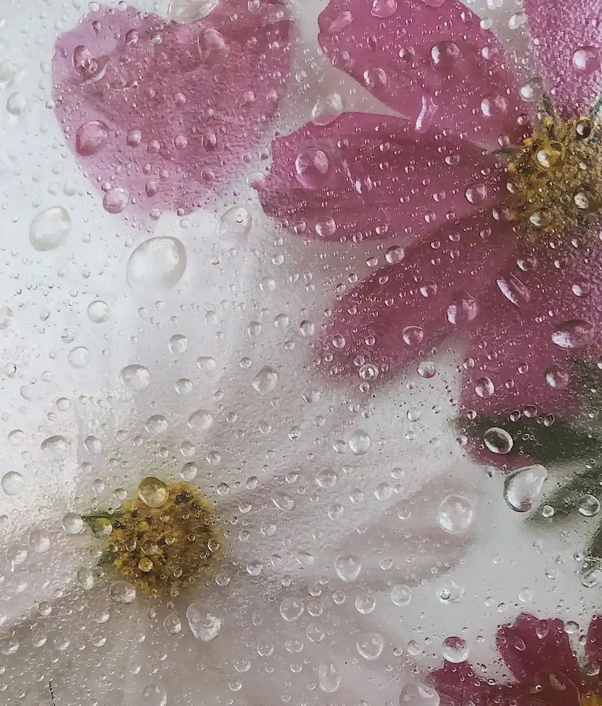 Can You Put Fresh Flowers in Resin? What Happens If You Do?