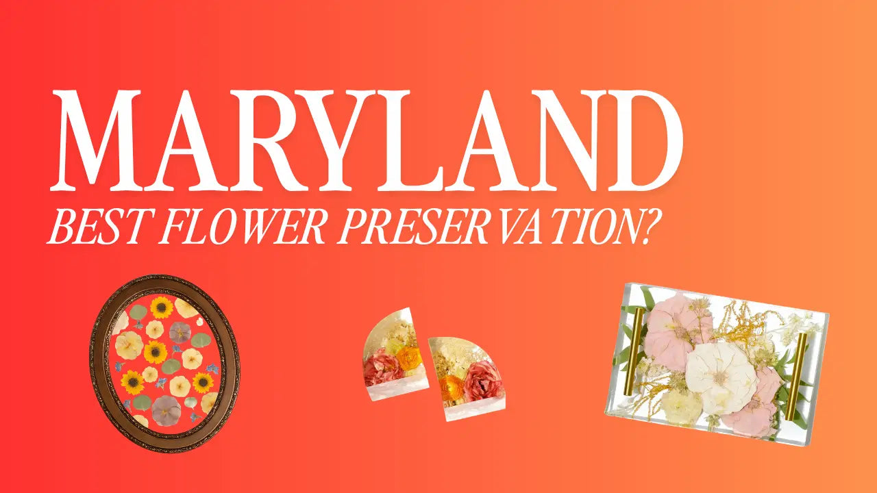 Maryland Bouquet Preservation Options
