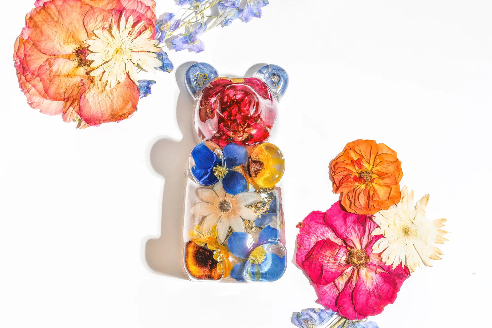 Shop Teddy Bear