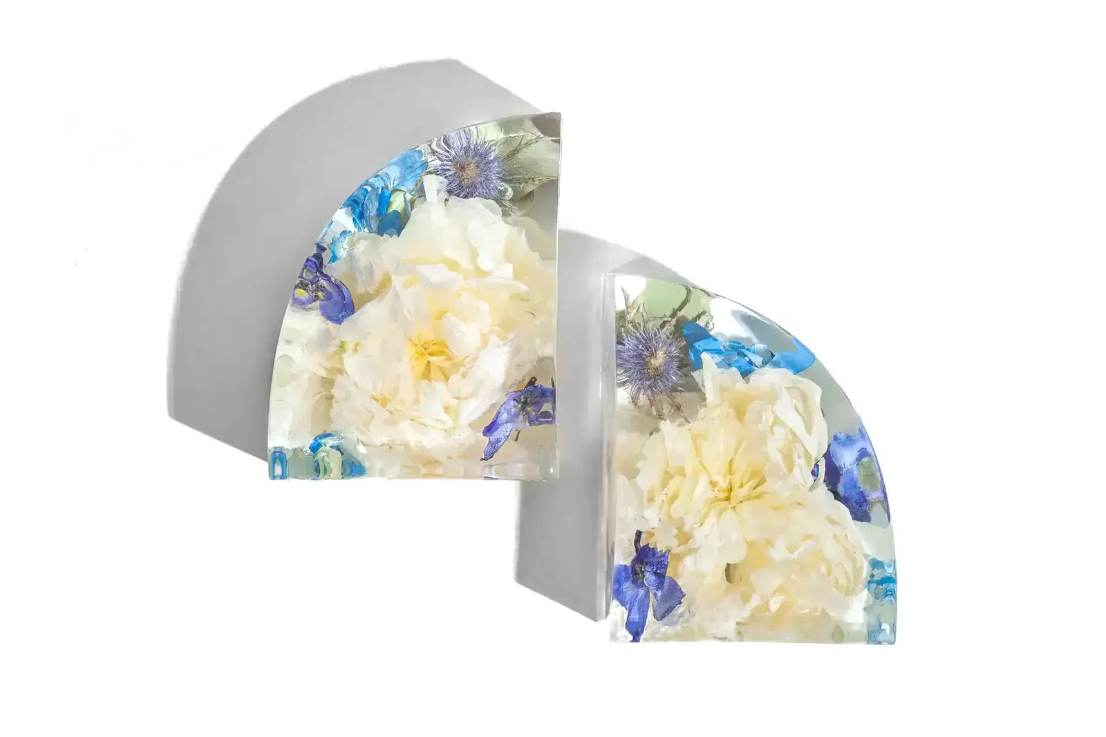 Shop Bookends