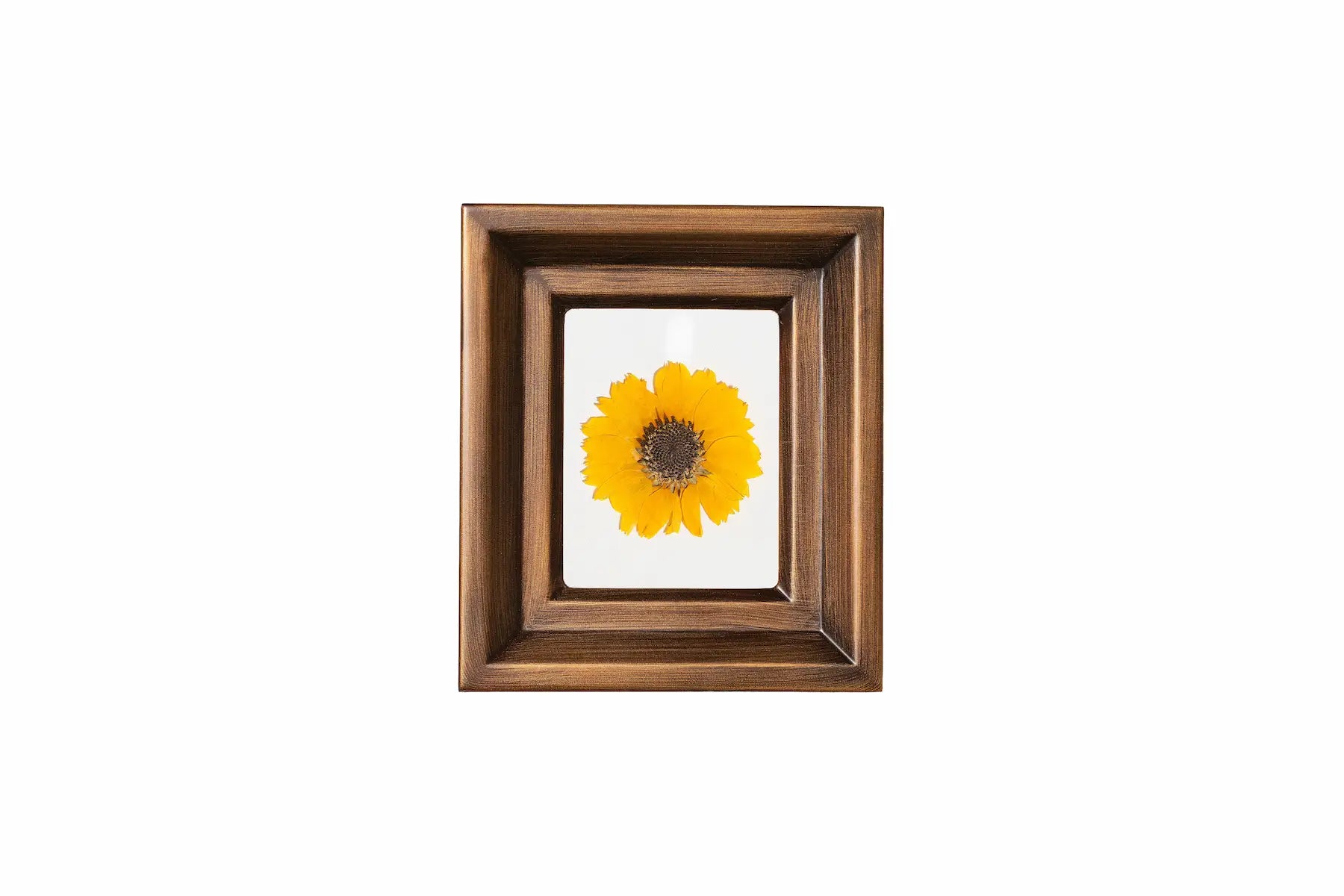 Sunset Gold single wedding flower presented in a tiny flower bronze handmade frame with a white background