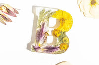 Letter 'B' made of pressed wedding flowers on a white background