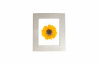 Bright Silver petite tiny single flower frame with a pressed preserved yellow flower