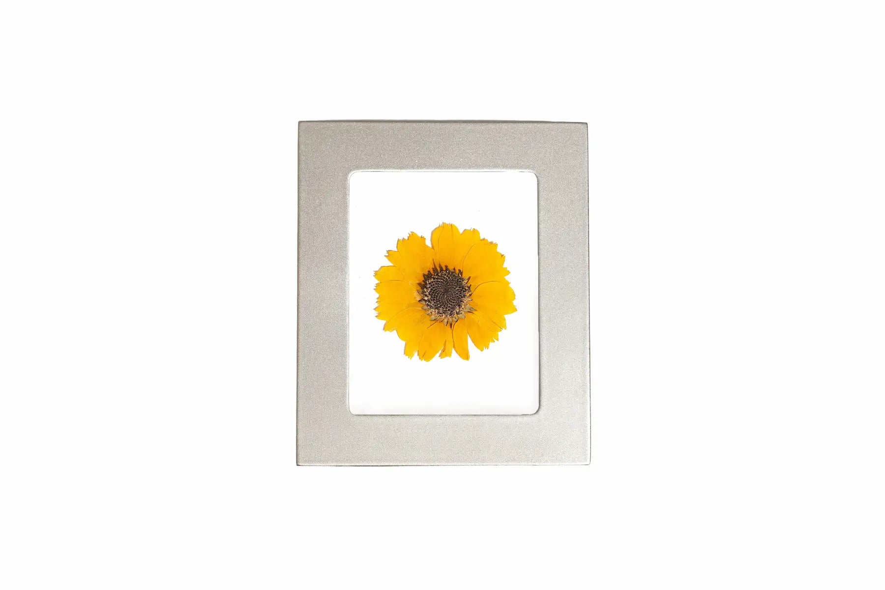 Bright Silver petite tiny single flower frame with a pressed preserved yellow flower