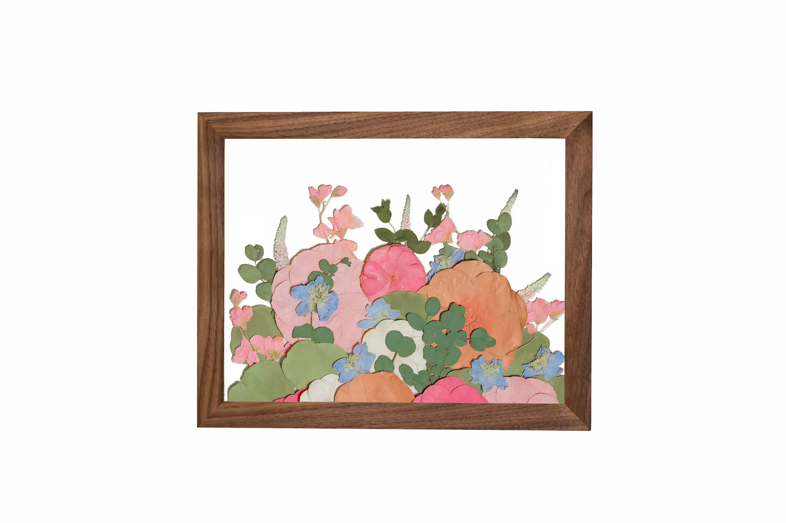 Shop Pressed Frames