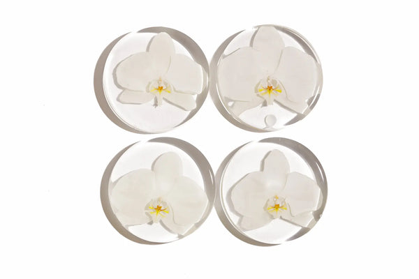 Four white orchid flowers in clear glass resin coasters on a white background