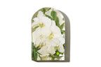 A large 6.5 inch arch of resin preserved flowers featuring white orchids.