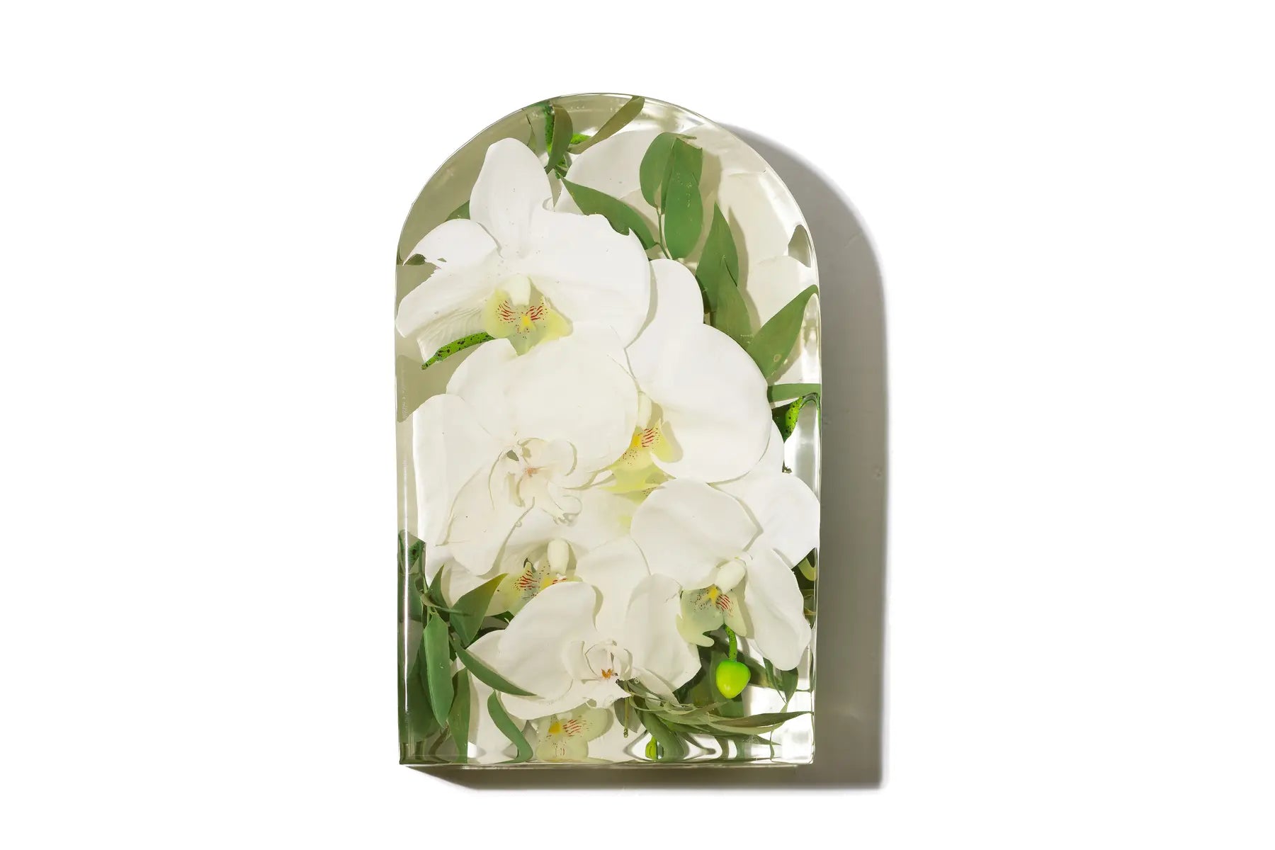 A large 6.5 inch arch of resin preserved flowers featuring white orchids.