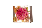 A 10 inch large square bouquet block featuring one bridal flower preserved in clear resin.