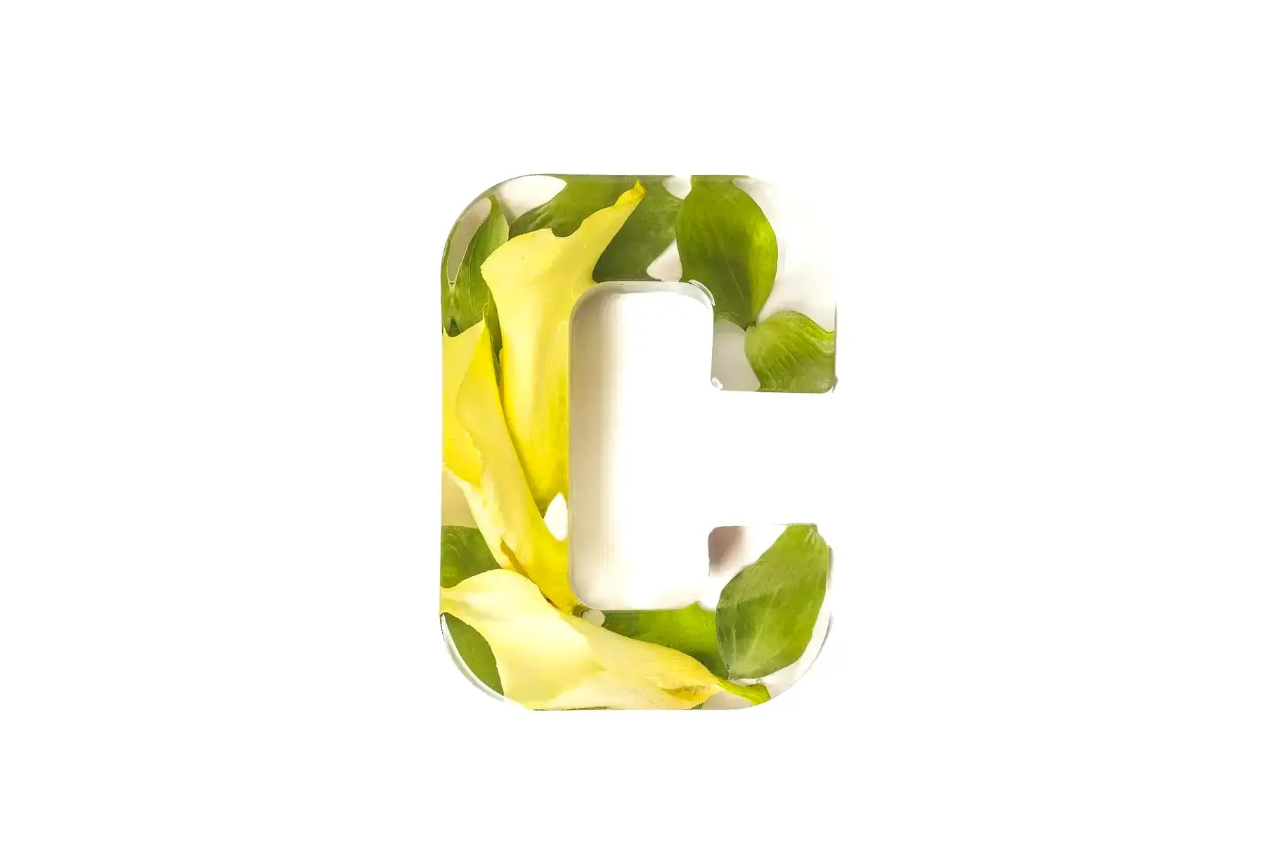 Large resin letter 'C' made of green leaves and orchids in a clear resin