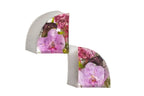 Purple lisianthus flowers preserved in pair of resin bookends