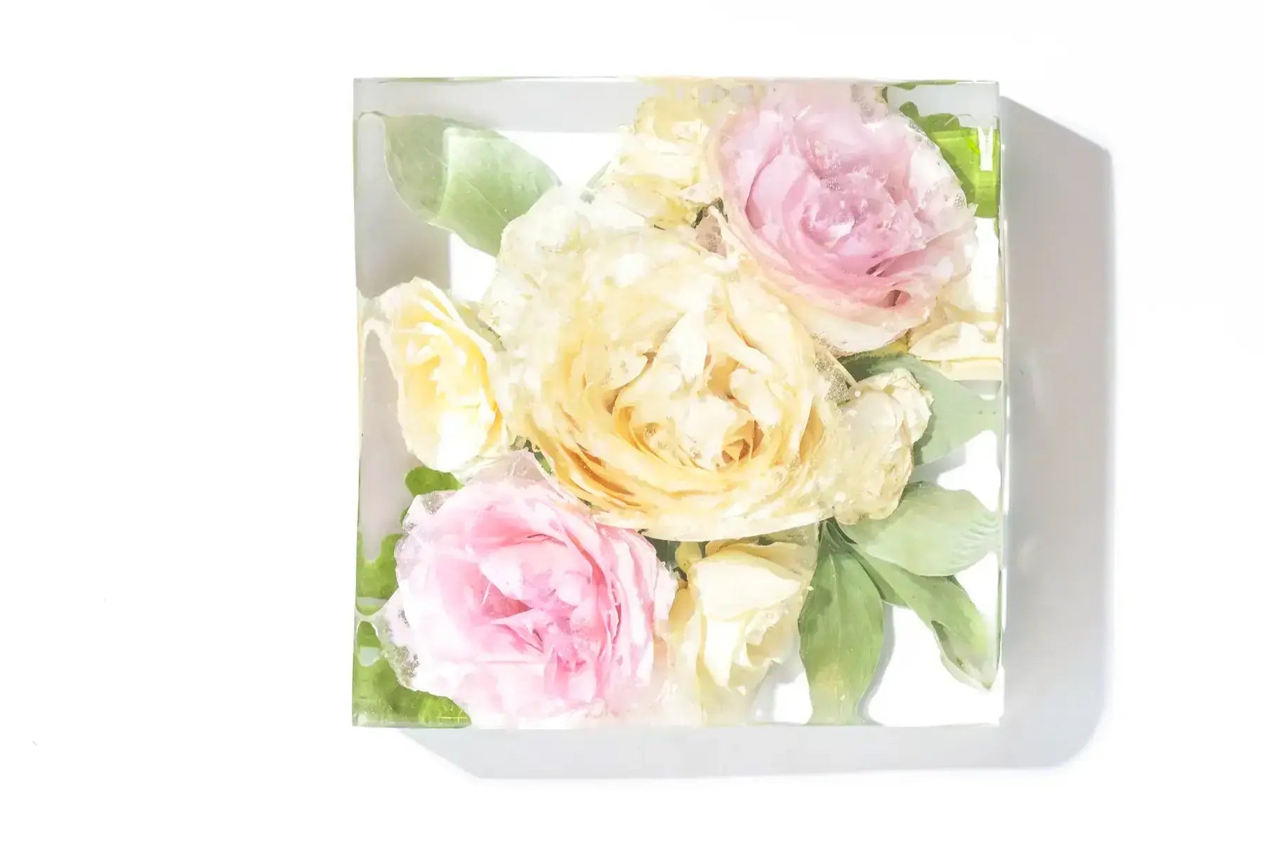 A trio of roses preserved in clear resin in a square shape that measures 6 inches in length.