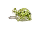 Clear resin turtle animal figurine with preserved memorial flowers inside