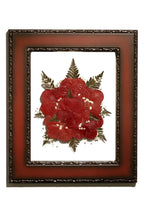 Framed pressed flowers with red roses with gold accents on a white background