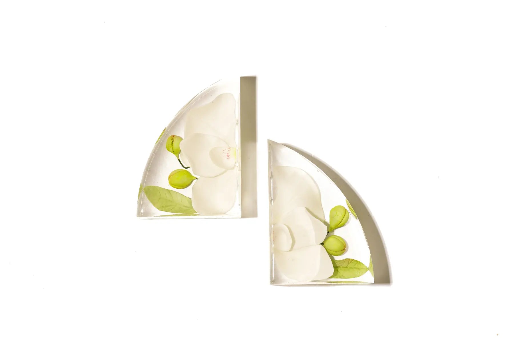 A pair of resin bookends with white orchid flowers sitting in a white space